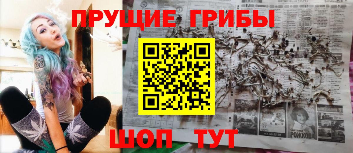 Псилоцибиновые грибы ЛСД Кисловодск