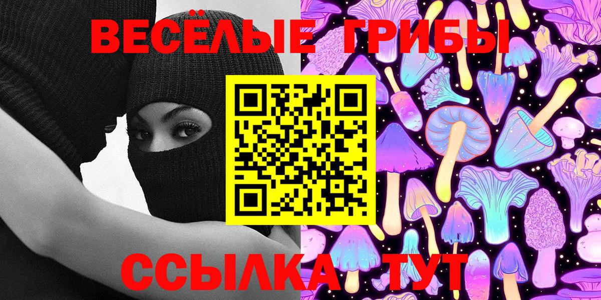 Кисловодск  Псилоцибиновые грибы GOLDEN TEACHER  Галлюциногенные грибы MAGIC MUSHROOMS  Вход с VPN 